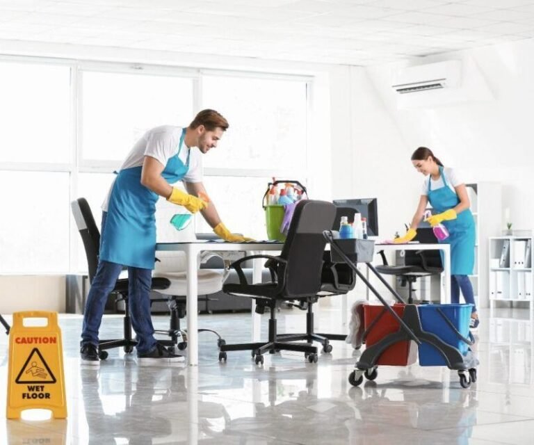 Professional Cleaning Services
